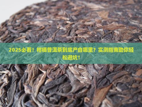 柑橘普洱茶出产那里