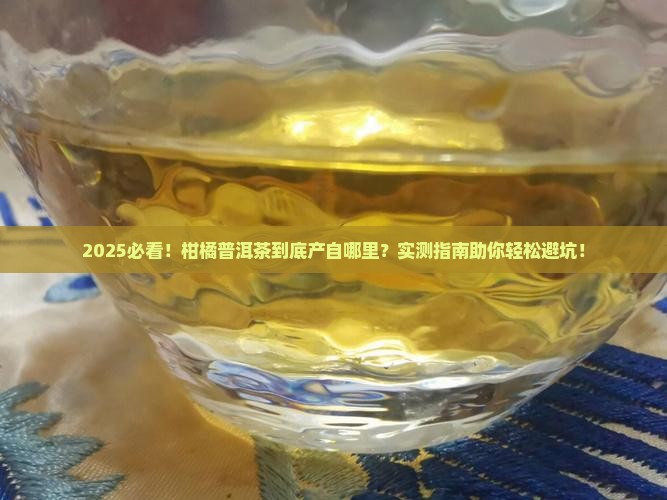 柑橘普洱茶出产那里