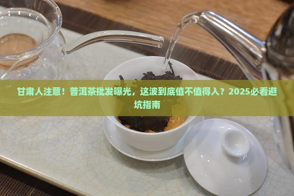 甘肃批发勐舍普洱茶