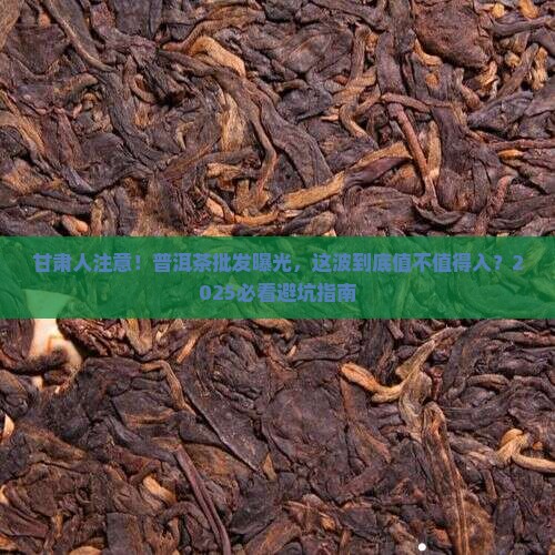 甘肃批发勐舍普洱茶