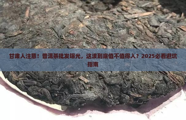 甘肃批发勐舍普洱茶
