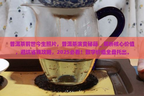 普洱茶前世今生照片