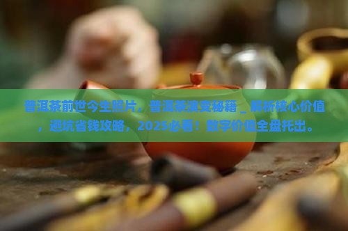 普洱茶前世今生照片