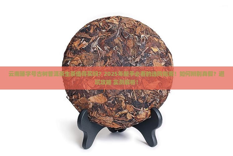 云南臻字号古树普洱茶生茶