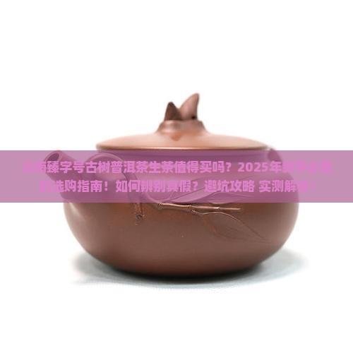 云南臻字号古树普洱茶生茶