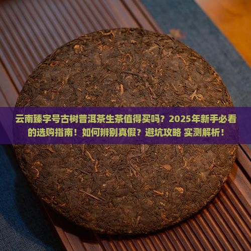 云南臻字号古树普洱茶生茶