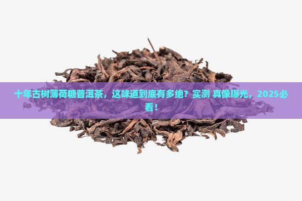 薄荷糖普洱茶古树十年