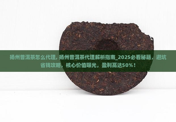 扬州普洱茶怎么代理