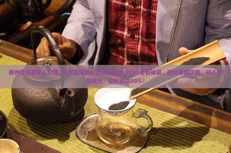 扬州普洱茶怎么代理