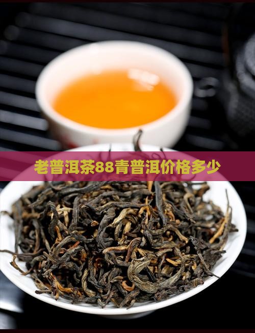 老普洱茶88青多少钱