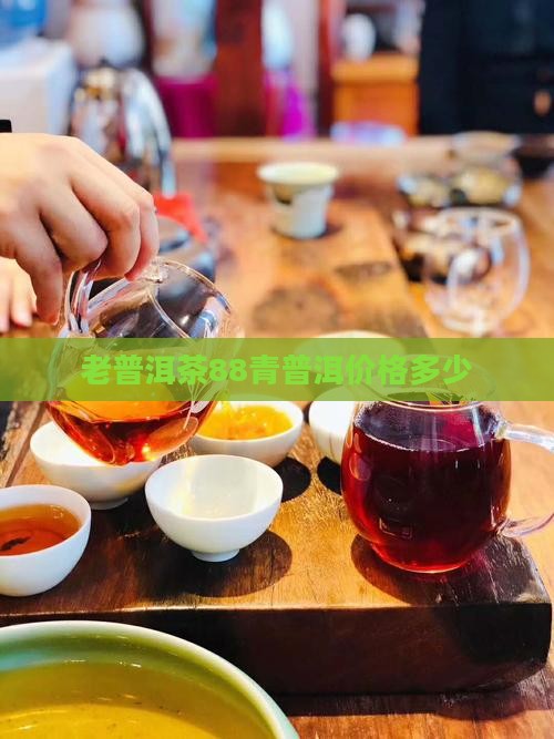 老普洱茶88青多少钱
