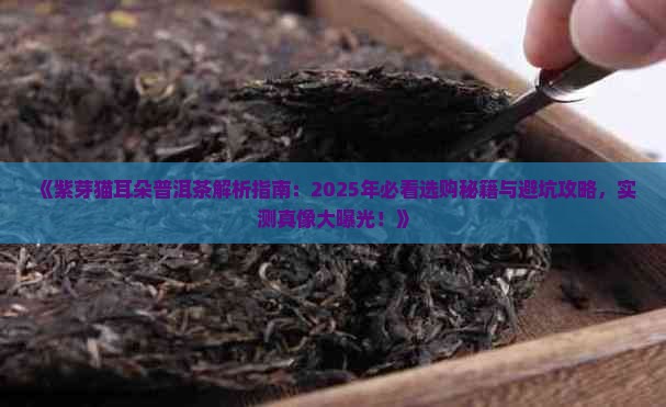 紫芽猫耳朵普洱茶