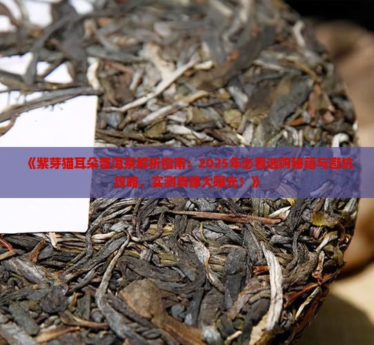 紫芽猫耳朵普洱茶