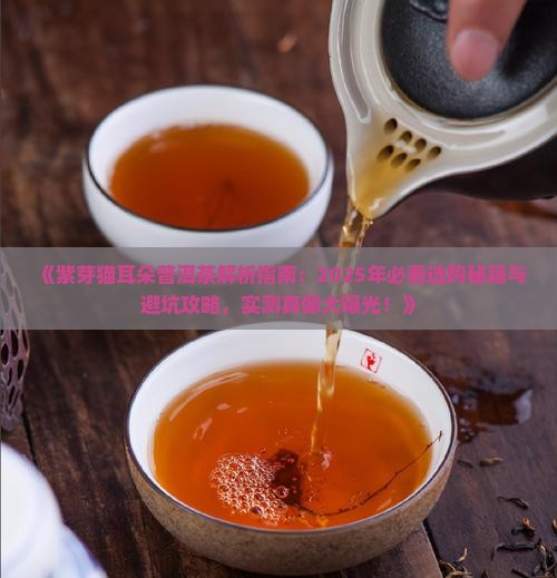 紫芽猫耳朵普洱茶