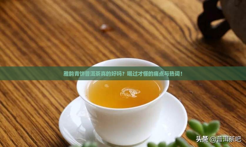 雅韵青饼普洱茶怎么样