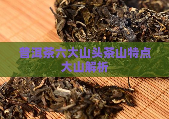 普洱茶新6大山头特点