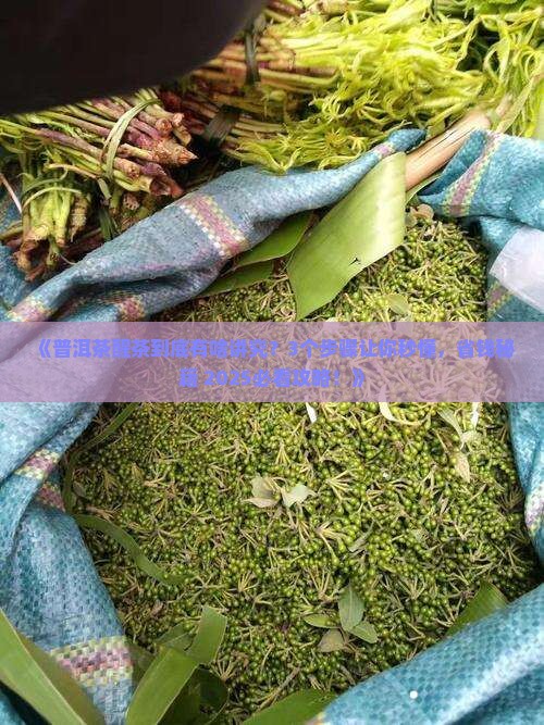 普洱茶到底如何醒茶
