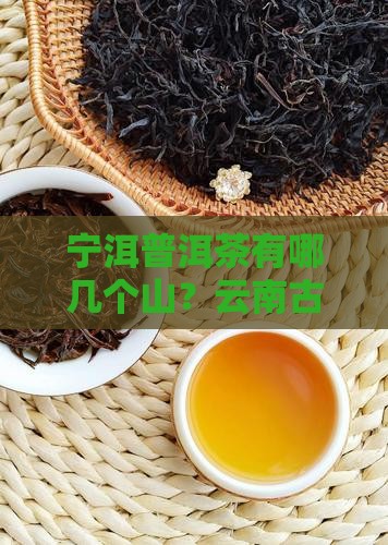 宁洱普洱茶有哪几个山