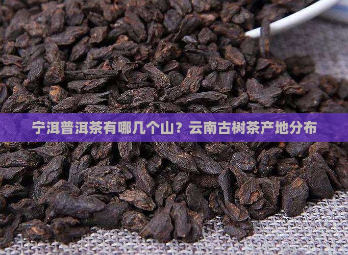 宁洱普洱茶有哪几个山