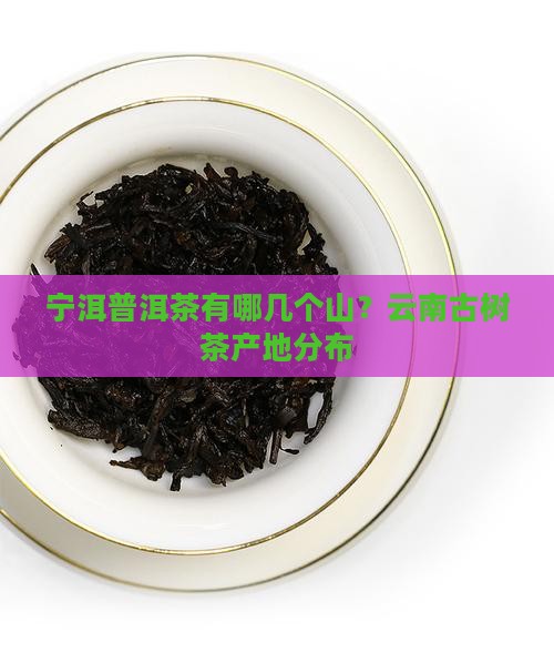 宁洱普洱茶有哪几个山