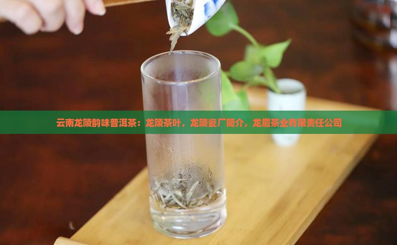 云南龙陵韵味普洱茶