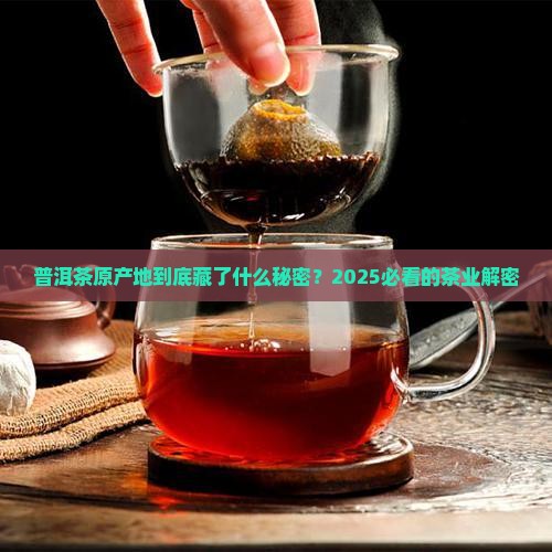 普洱茶原产地茶业
