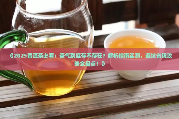 普洱茶到底有没有茶气