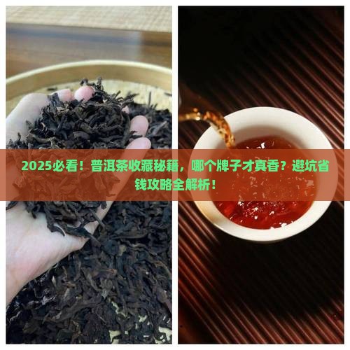 哪个牌子普洱茶值得购买藏