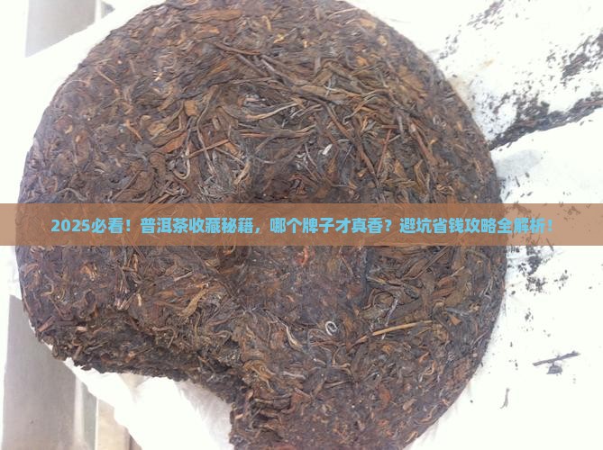 哪个牌子普洱茶值得购买藏