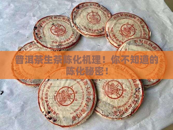 普洱茶生茶陈化机理