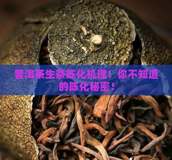 普洱茶生茶陈化机理