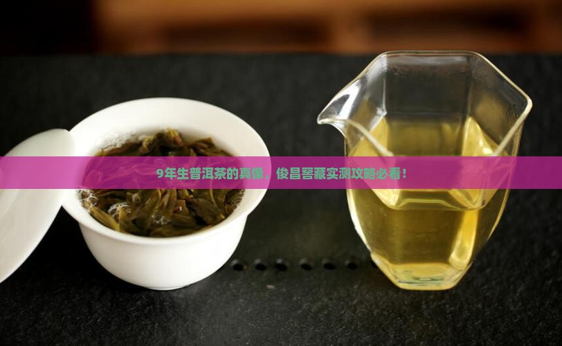 俊昌窖藏9年生普洱茶