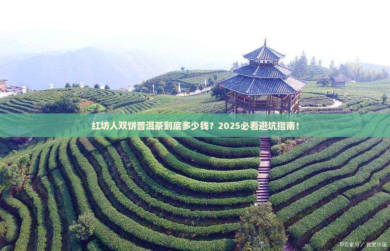 红坊人双饼普洱茶价格