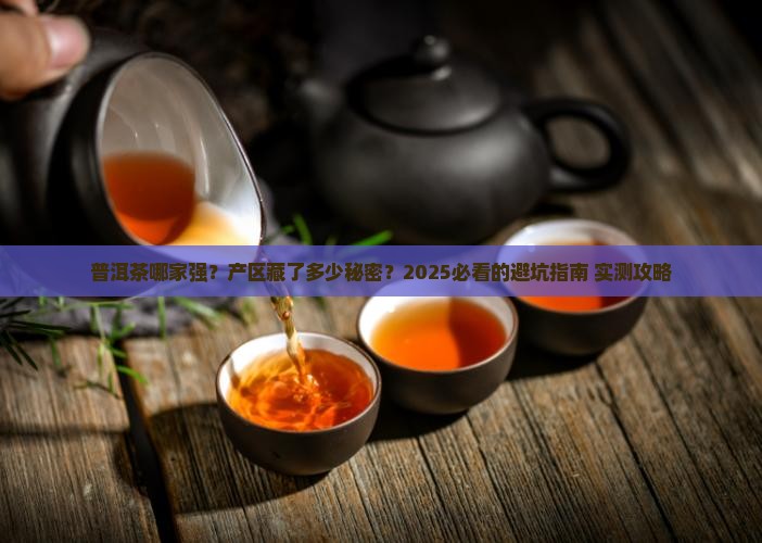 普洱茶品牌和产区