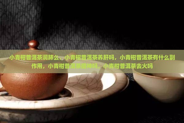 小青柑普洱茶润肺么
