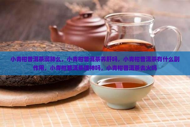 小青柑普洱茶润肺么