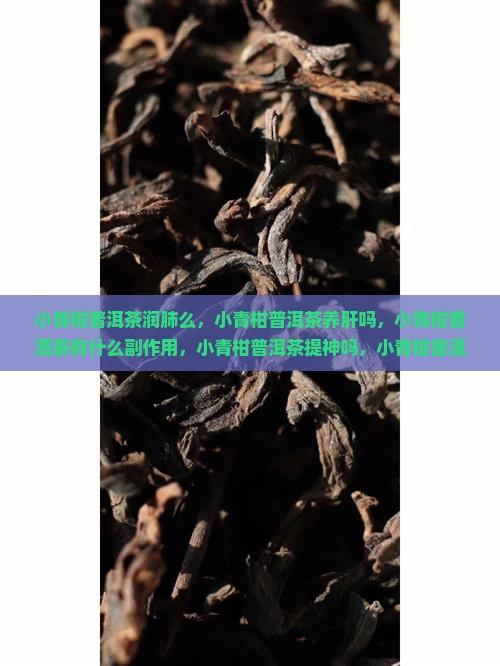 小青柑普洱茶润肺么