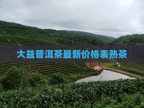 大益普洱茶最新价格表熟茶