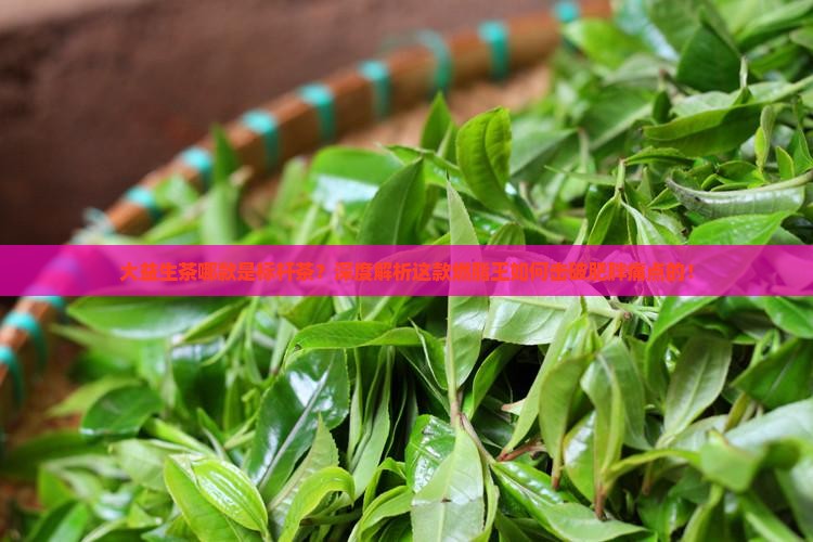 大益生茶哪款是标杆茶