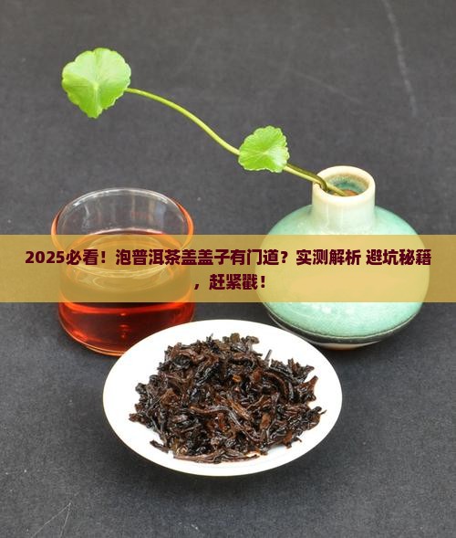 用壶泡普洱茶盖盖子吗
