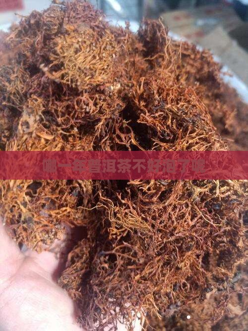 哪几年普洱茶不好泡了呢