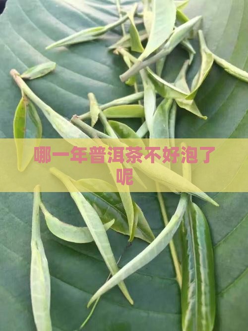 哪几年普洱茶不好泡了呢