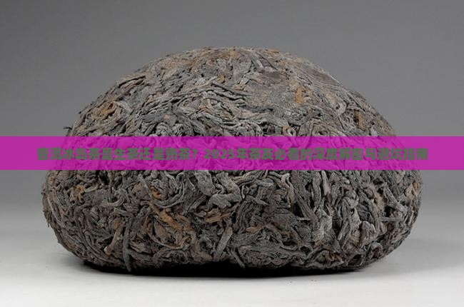 普洱冰岛茶是生茶还是熟茶