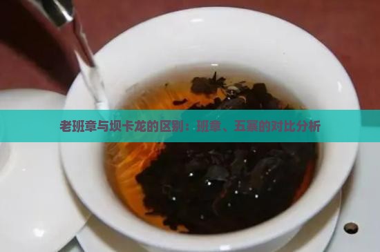 老班章跟坝卡龙的区别