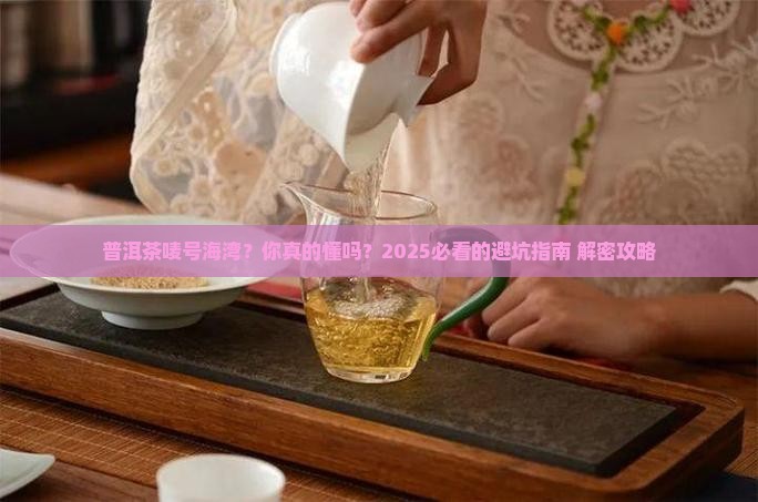 普洱茶唛号海湾