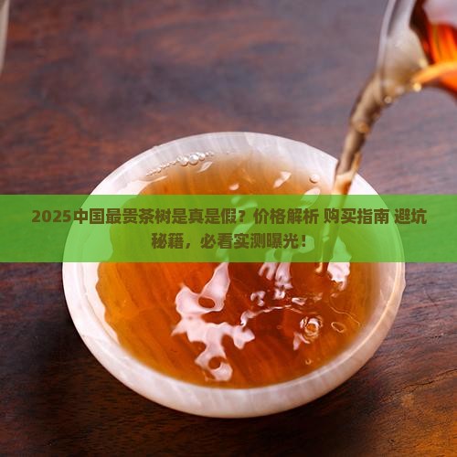 中国最贵的茶树