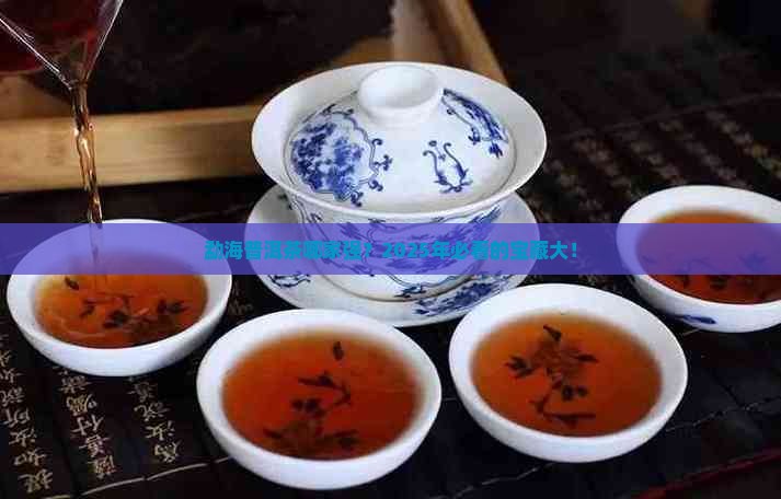 勐海普洱茶有什么牌子的