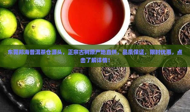 东莞邦海普洱茶仓源头