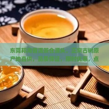 东莞邦海普洱茶仓源头