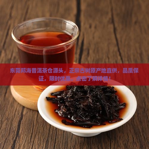 东莞邦海普洱茶仓源头